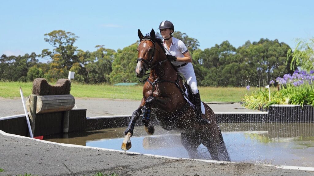 Dernières infos turf