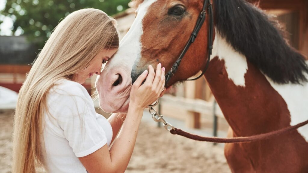 conditions météo et leur impact sur les courses
