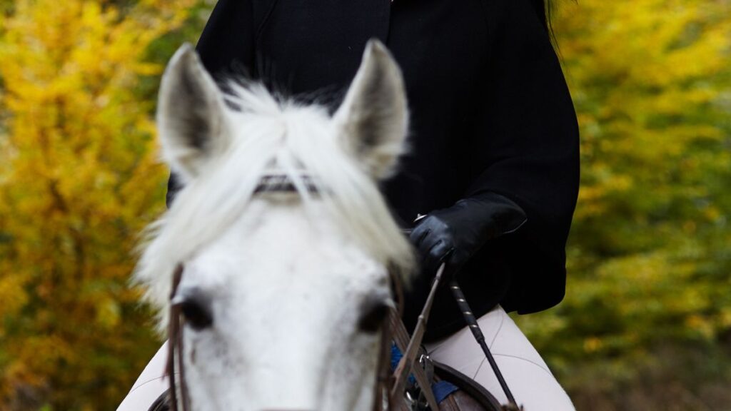 Hippodrome de Chantilly