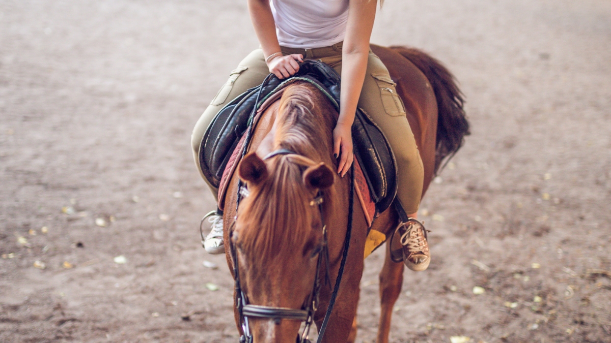 Performance par rapport aux cotes